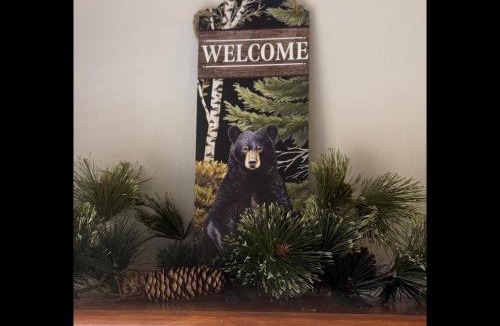 Estes Park House | Lazy R Cottages- 7A cabin