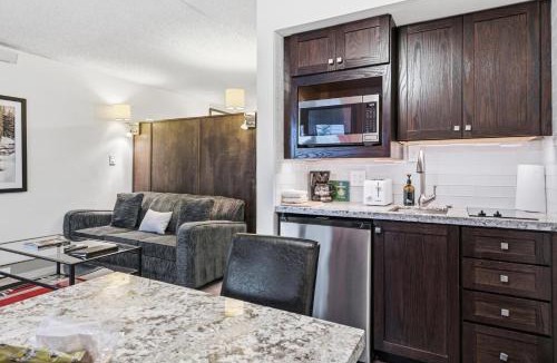 Vail House | Lift House Lodge, Pet Friendly, Premium Studio Condo