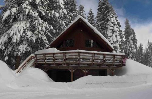 Ponderosa House | Little Bear Lodge, Located in Ponderosa California
