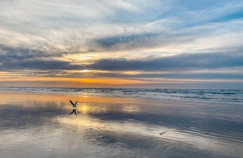 Florence House | Lofty Pelican