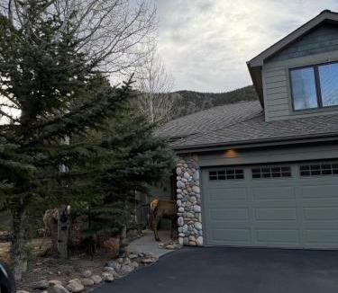 Estes Park House | Luxury Riverfront Retreat - Fishing - Wildlife