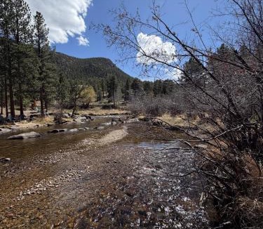 Estes Park House | Luxury Riverfront Retreat - Fishing - Wildlife