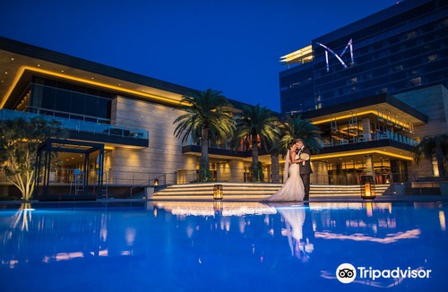 Henderson Hotel | M Resort Spa & Casino