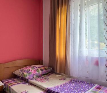 Pluzine House | MAGLIC