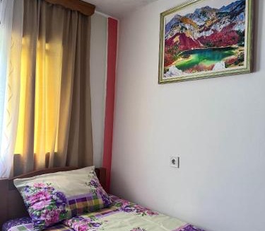 Pluzine House | MAGLIC