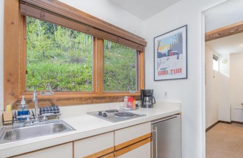 Telluride Hotel | Manitou Lodge 4 by Alpine Lodging Telluride