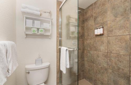 Telluride Hotel | Manitou Lodge 8 by Alpine Lodging Telluride