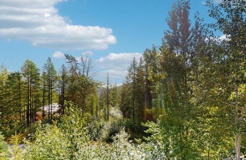 Sandpoint House | Mogul Hill Cabin