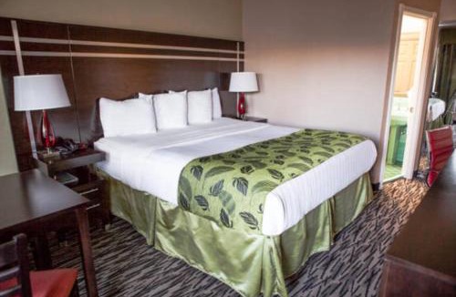 Cow Hollow Hotel | Motel Capri