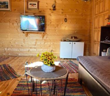 Montenegro House | Mountain cottage Hajdi