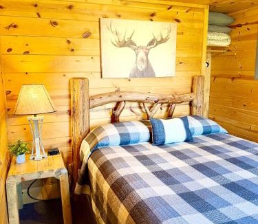 Rapid City Cabin | Mountain View Lodge & Cabins