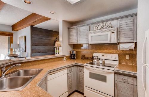 Mount Crested Butte Apartment | Mountain Views From This Plaza Condo - Sleeps 6 Condo