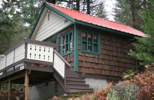 Packwood House | Mountainside Chalet - Tiny Home