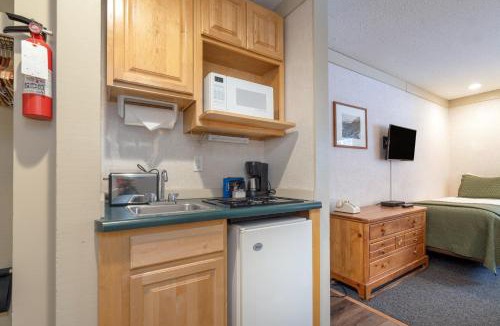 Telluride Hotel | Mountainside Inn 107 by Alpine Lodging Telluride