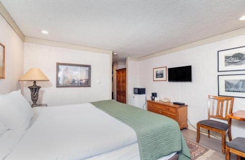 Telluride Hotel | Mountainside Inn 221 by Alpine Lodging Telluride