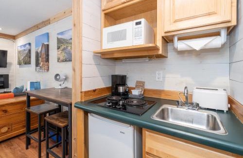 Telluride Hotel | Mountainside Inn 310 by Alpine Lodging Telluride