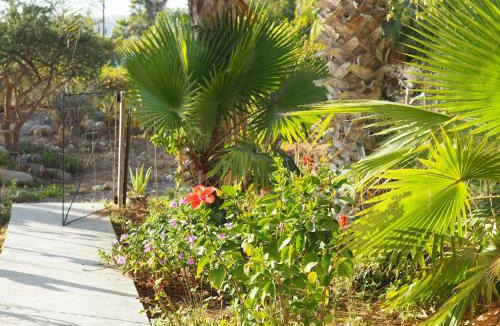 El Pescadero Apartment | Mystic Breeze