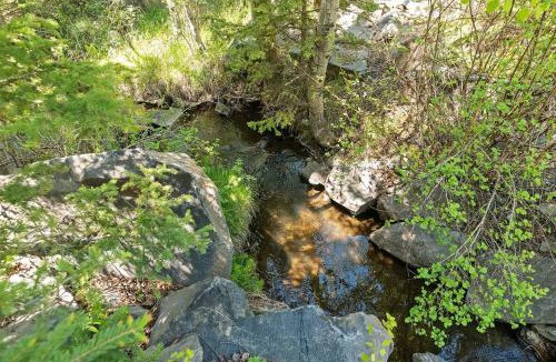 Hill City House | Nature Stay with Views Like No Where Else