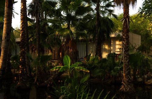 Santiago Hotel | NEST Los Cabos