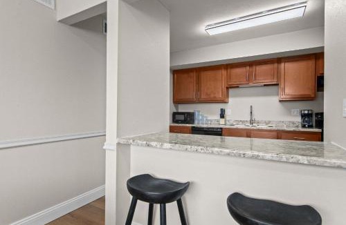 Springfield Apartment | Newly Renovated Unit in Central Spfld #101