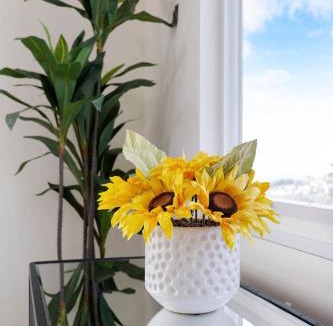 Pacifica Apartment | Oceanview Sunset View 3BR Luxe Home Yard