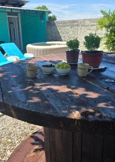 Tuzi Municipality Apartment | Olive Grove Retreat Podgorica