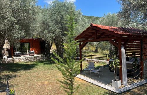 Ulcinj House | Olive grove Sofias Garden