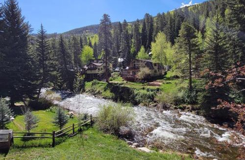 Vail Apartment | On Gore Creek, Pet Friendly, Steps from Free Bus Stop & Great Value