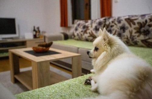 Zabljak Apartment | Orange stan