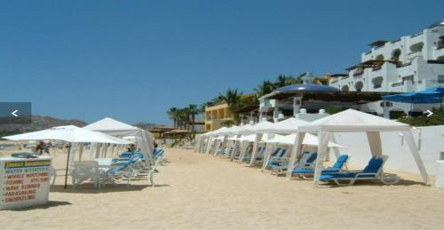 El Medano Ejidal Apartment | Owners Studio Suite, REQUEST DATES- see by Clay & Lisa