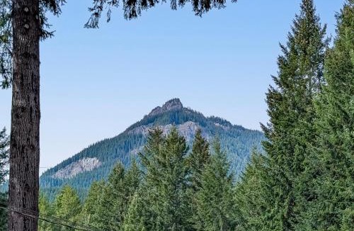 Packwood House | Peak View | White Pass, Mt Rainier