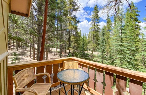 Fairplay House | Pet Friendly, Private Forested Acreage, High Speed Internet - Ponderosa Hideaway