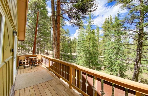 Fairplay House | Pet Friendly, Private Forested Acreage, High Speed Internet - Ponderosa Hideaway