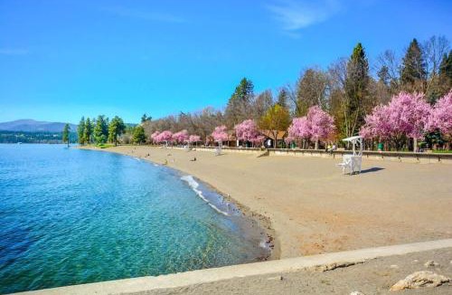 Coeur d'Alene Hotel | Pet Friendly Studio Next To Food Pavilion