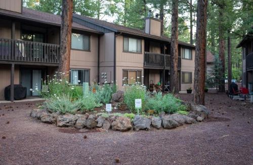 Pinetop House | Pinetop 3 Studio