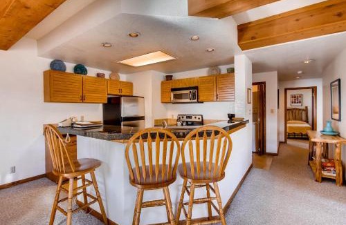 Mount Crested Butte Apartment | Plaza 3PK 2BR 2BTH PZ641