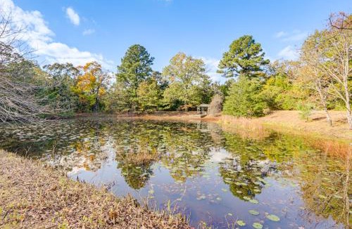 Eureka Springs House | Pond Mountain Springs 'Hawk Cabin,' 4 Mi to Dtwn