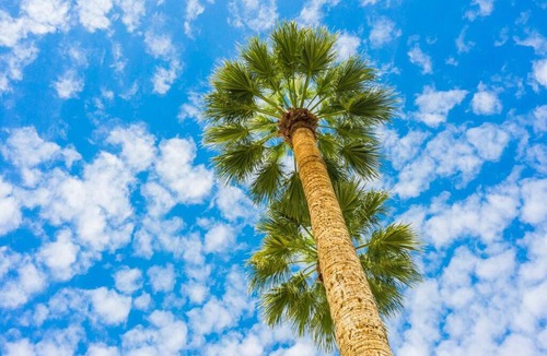 South Scottsdale Apartment | Poolside Studio w Rooftop Deck - Walk to Old Town