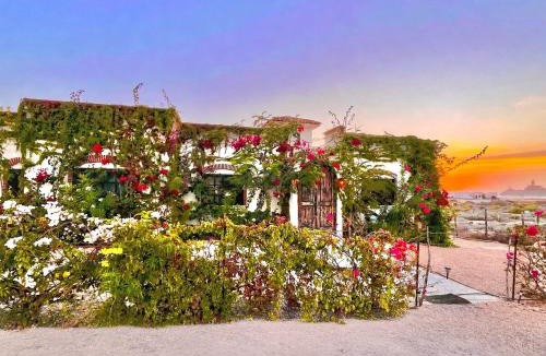 Cerritos House | Private House, 1-Min Walk to Beach, Ocean Views