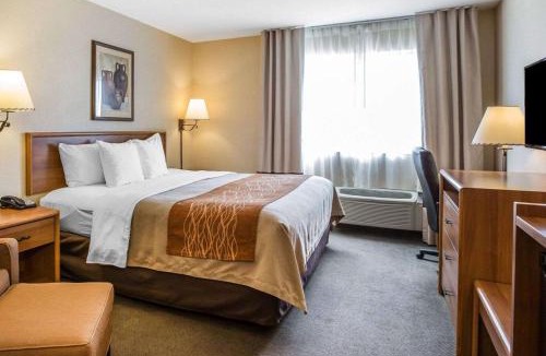 Lone Pine Hotel | Quality Inn Lone Pine near Mount Whitney