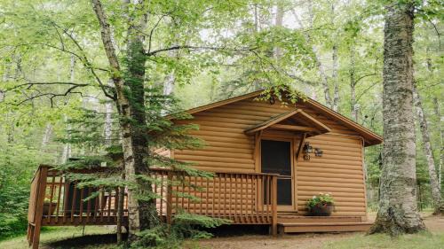 Babbitt Apartment | Quintessential Northwoods - Traditional Cabin - Parking - Fast Wi-Fi CB03