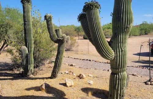 Picture Rocks House | R&R in Saguaro Natl Park