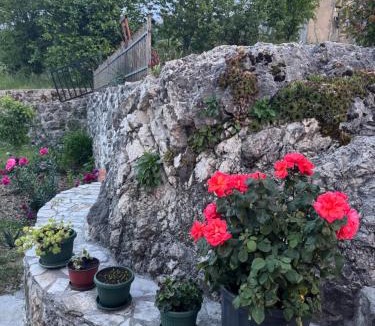 Karuc Apartment | Rajkovic Stay Peaceful Apartment near Virpazar