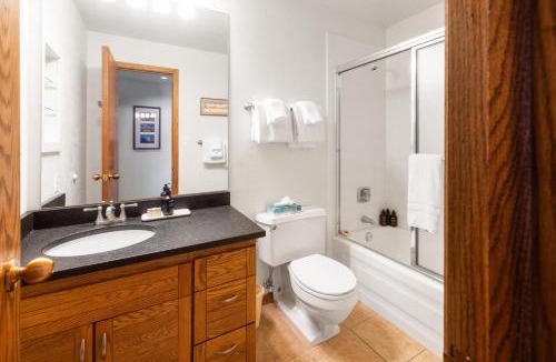 Mount Crested Butte Apartment | Recently Updated Plaza Condo Condo