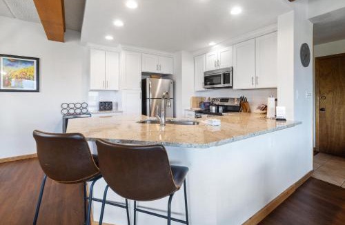 Mount Crested Butte Apartment | Recently Updated Plaza Condo Condo