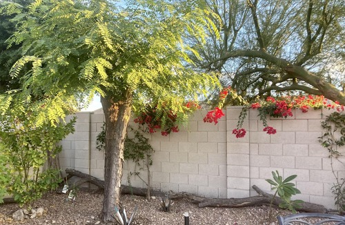 Estrella Mountain Ranch House | Relax in sunny Estrella Mountain with private pool and no extra pool heat charge