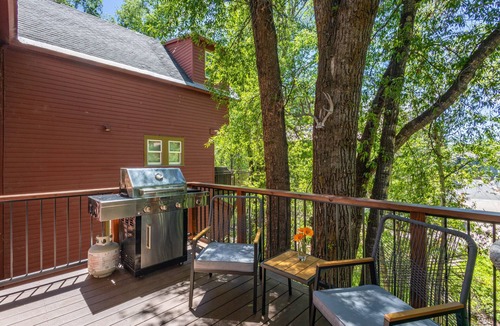 Telluride Condo | Relaxing Creekside Stay | Walk to Town, Gondola & Hiking Trails