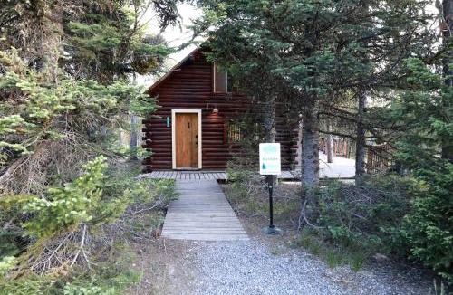 Island Park House | Relaxing Log Cabin Nestled in the Trees near Yellowstone, Idaho