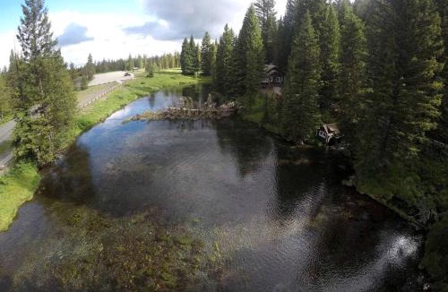 Island Park House | Relaxing Log Cabin Nestled in the Trees near Yellowstone, Idaho