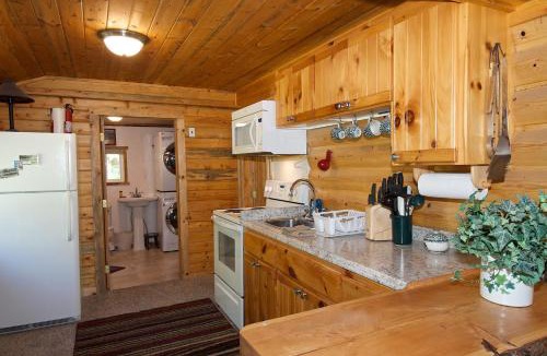 Island Park House | Remington Retreat by KABINO Dog Friendly FirePit Sleeper Sofa WiFi Grill